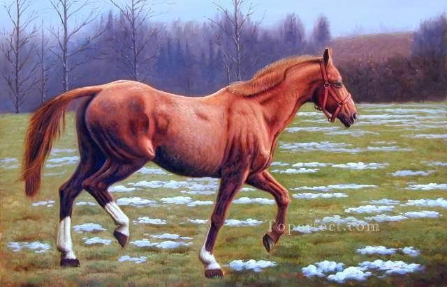 dw021fD animal cheval Peintures à l'huile